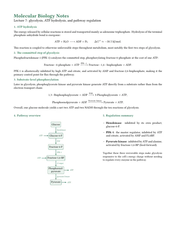 Compiled first page of the Molecular Biology Notes template